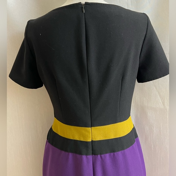 Zipper back, beautiful, color block dress - Picture 4 of 6